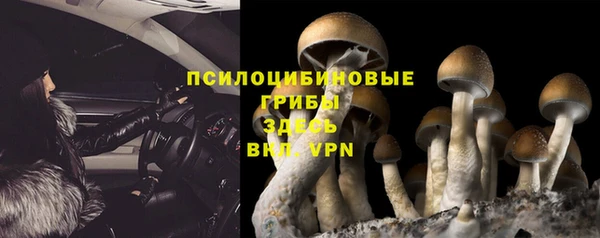 герыч Мегион