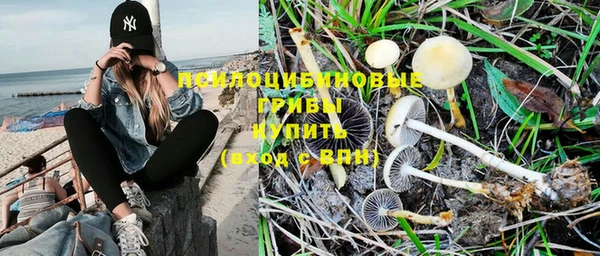 герыч Мегион