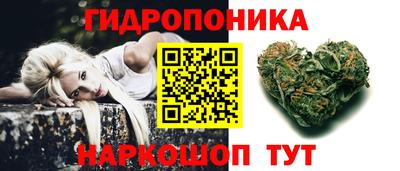дурь Кимры