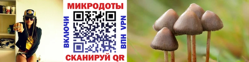 Псилоцибиновые грибы Cubensis  где продают   Южно-Сахалинск 